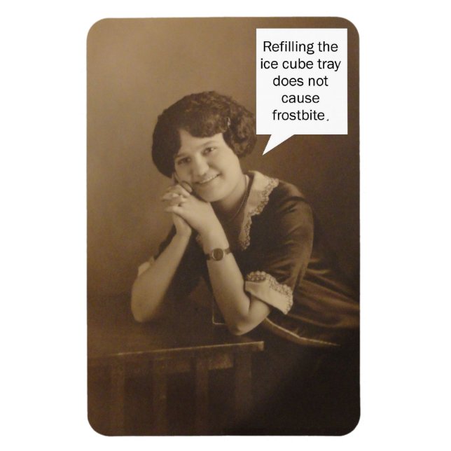 Erinnerung der Eiswürfelchen Magnet (Vertikal)