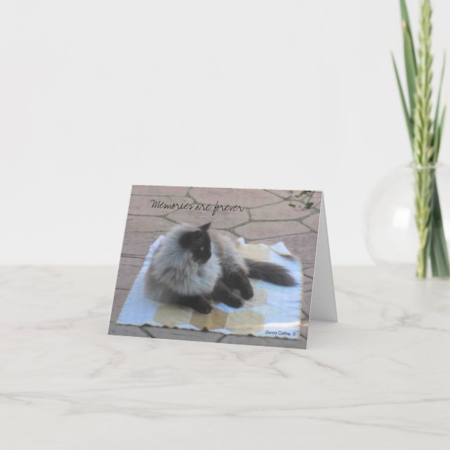 Erinnerungen-Katzenausweis Karte (Vorderseite)