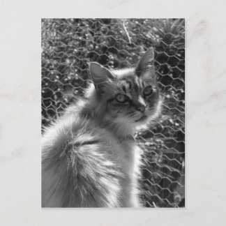 Erinnerungen Postkarte