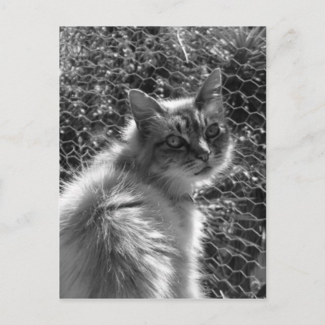 Erinnerungen Postkarte (Vorderseite)