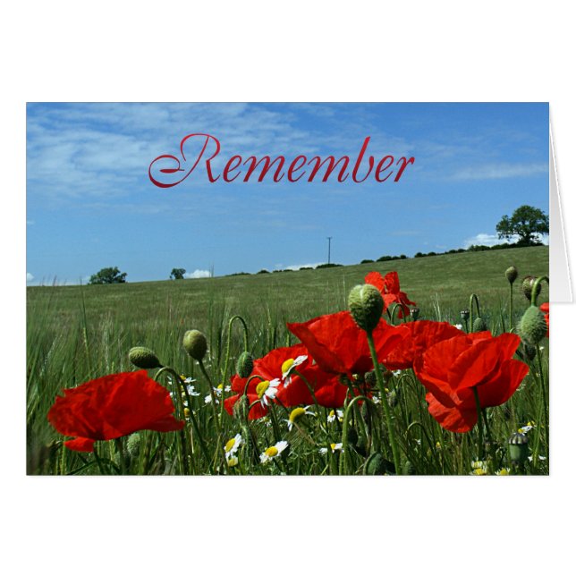 Erinnerungs-Tagesmohnblumen-Feld (Vorderseite (Horizontal))