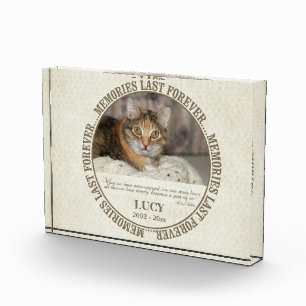 Erinnerungs- Verlust der Katze - individueller Fotoblock