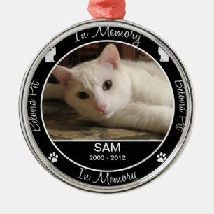Erinnerungs- Verlust der Katze - Silbernes Ornament