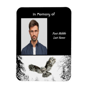 Erinnerungsandenken Wasserfarben Eule Vogel Magnet
