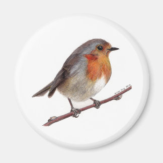 Erithacus Rubecula (Erithacus) Magnet
