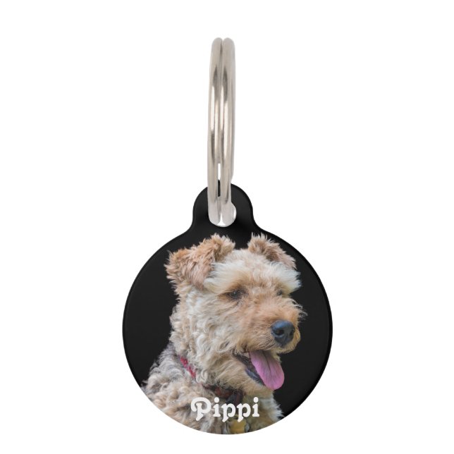 Erkennungsmarke Walisers Terrier Tiermarke (Vorderseite)