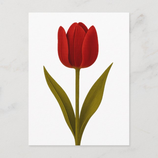 Erklärung zur Liebe Postkarte (Vorderseite)