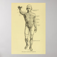 Erkrankungen des Nervensystems Chiropraktisch