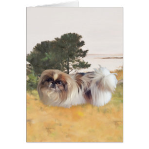 Erkundung der Küste