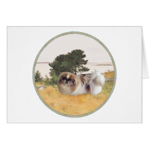 Erkundung der Küste