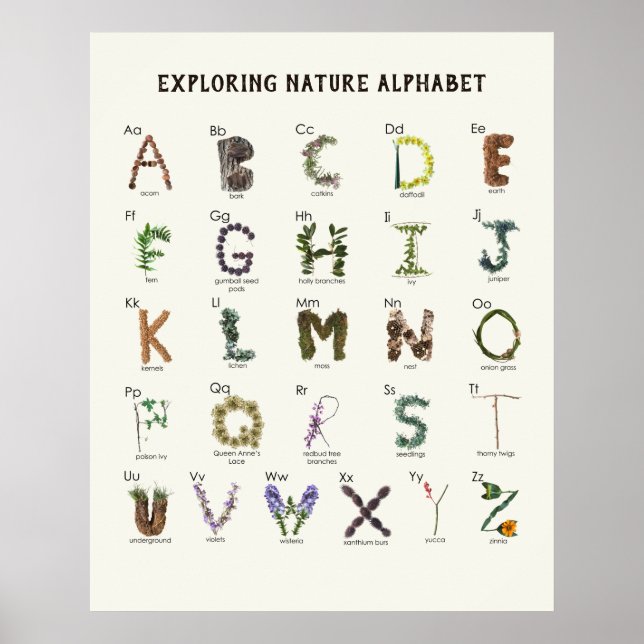 Erkundung der Natur Alphabet | Holz ABC Kinderzimm Poster (Vorne)
