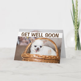 Erleben Sie bald niedlichen Hund Chihuahua in eine Karte