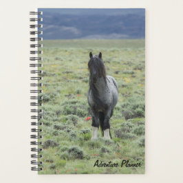 Erlebnisplaner mit blauem Zeus Planer