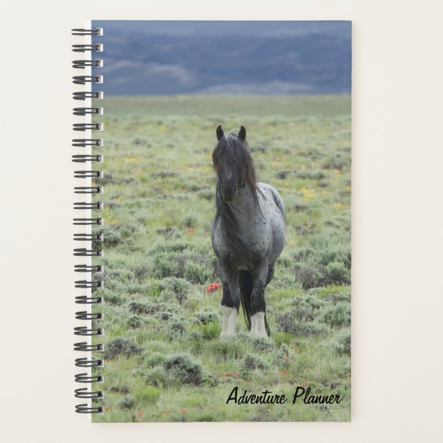 Erlebnisplaner mit blauem Zeus Planer (Vorderseite)