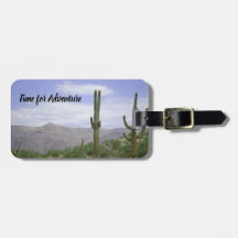 Erlebnisreise Arizona Saguaro Kaktus Südwesten