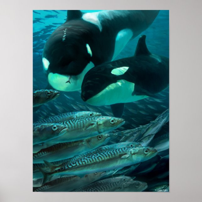 Erlernen der Makrelenjagd Poster (Vorne)