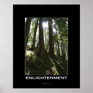 ERLEUCHTUNG Forest Motivierend Foto Poster