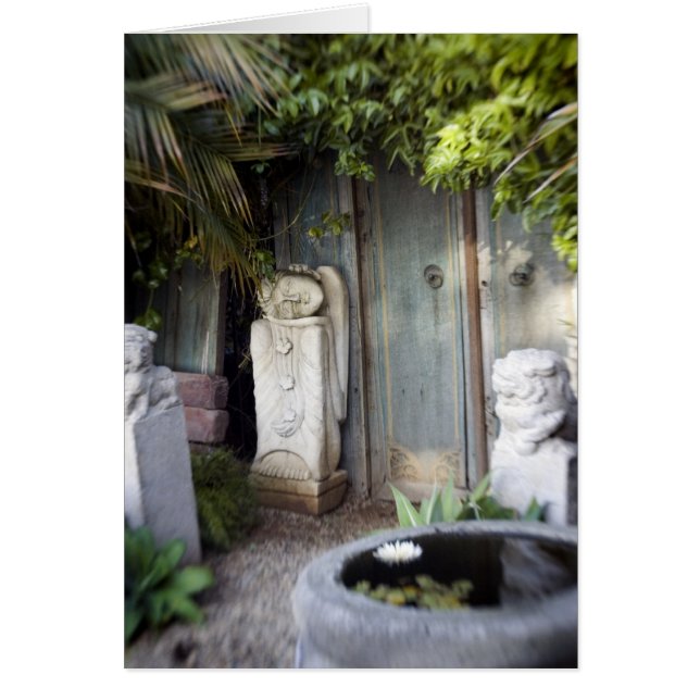 Erleuchtung-Garten (Vorne)