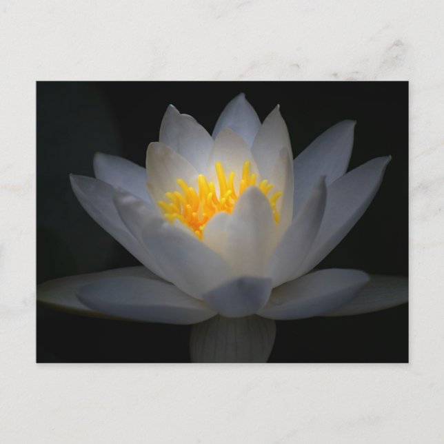 Erleuchtung Postkarte (Vorderseite)