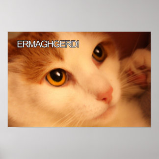 Ermahgerd Niedlich Orange Cat Poster