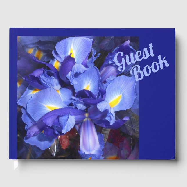 Ermengarde Gästebuch (Vorderseite)