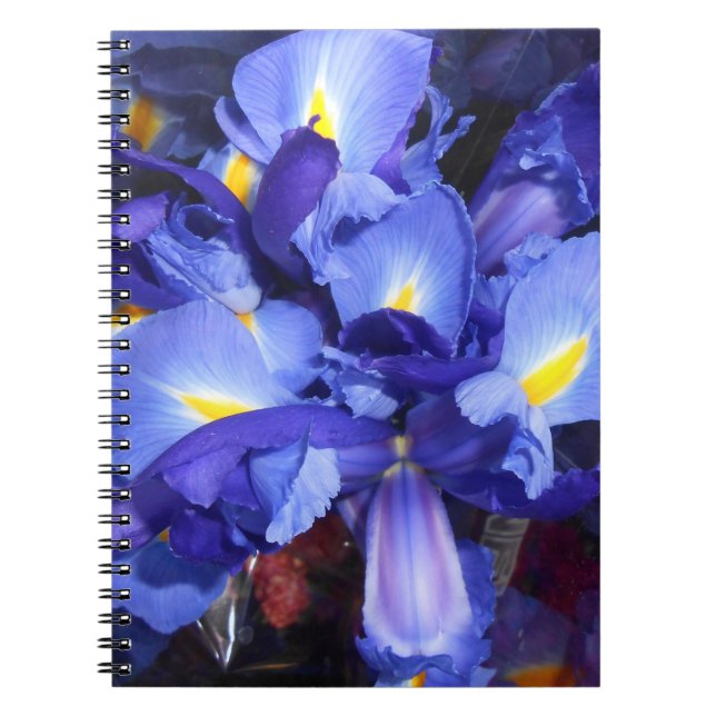 Ermengarde Notizblock (Vorderseite)