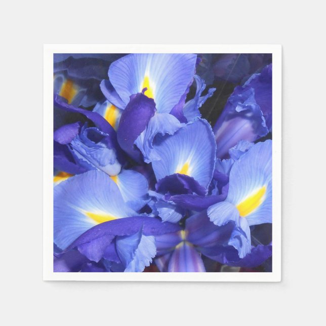 Ermengarde Serviette (Vorderseite)