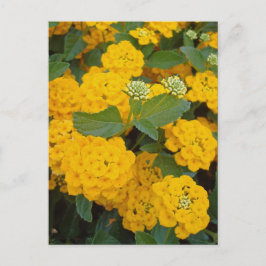 Ermutigen Sie besondere Freunde positive gelbe Blu Postkarte