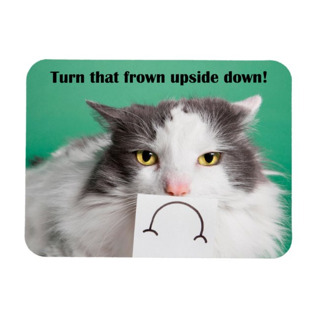Ermutigung Funny Cat mit Frown Magnet (Horizontal)