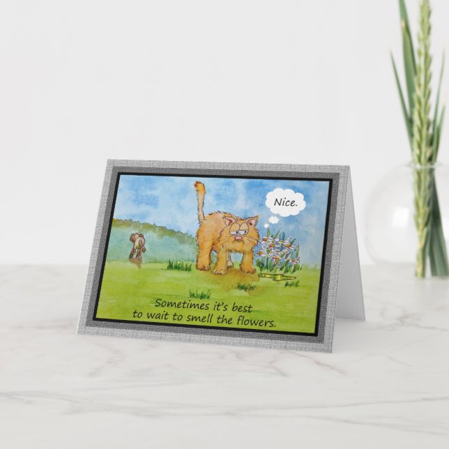 Ermutigung Funny Spaß Katze Hund können Sie es tun Karte (Vorderseite)