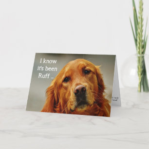 Ermutigung/ Genesung Süßer Golden Retriever Hund Karte