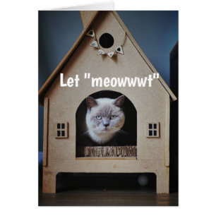 Ermutigung/ Niedliche Katzen suchen