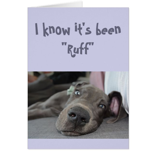 Ermutigung/Niedlicher großer Däne-Hund (Vorne)