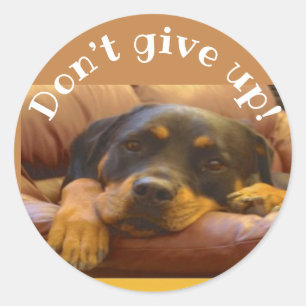 Ermutigung von Rottweiler nicht aufgeben Runder Aufkleber