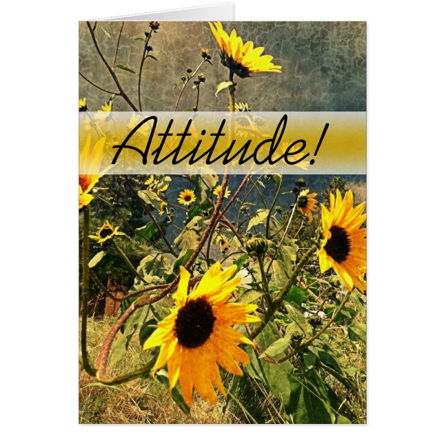 Ermutigung von Sonnenblumen vor Sturmwolken (Vorne)