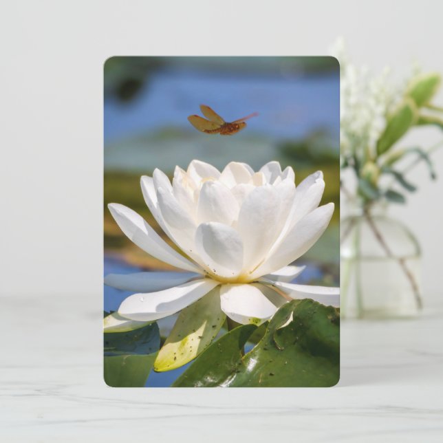 Ermutigungskarte: Kein Schlamm, kein Lotus (Stehend Vorderseite)