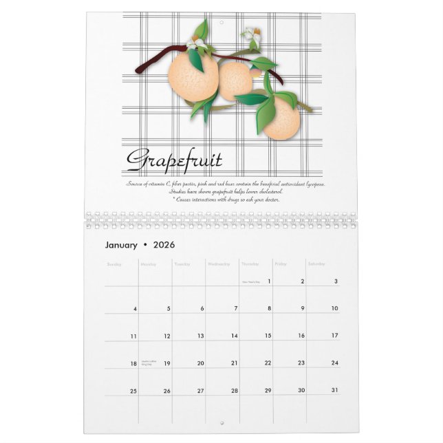 Ernährungsfrüchte, 2011, (mit Ernährungsinfo) Kalender (Jan 2026)
