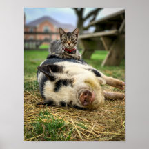 Ernest & Sassy Print!