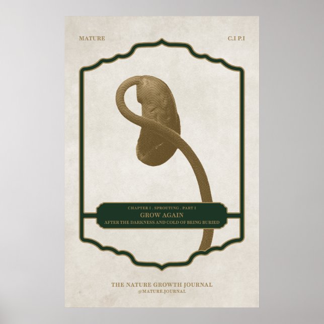 ERNEUT WACHSEN - REIHE ENTWICKLUNGSPOSTER POSTER (Vorne)