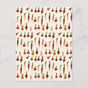 Ernst Benary's Radish-Sorten Postkarte