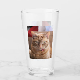 ernst glas