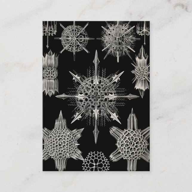 Ernst Haeckel | Acanthophracta Visitenkarte (Vorderseite)