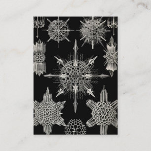 Ernst Haeckel   Acanthophracta Visitenkarte