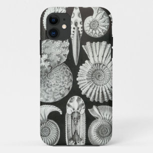 Ernst Haeckel - Ammonitida Case-Mate iPhone Hülle