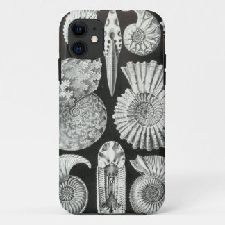 Ernst Haeckel - Ammonitida Case-Mate iPhone Hülle