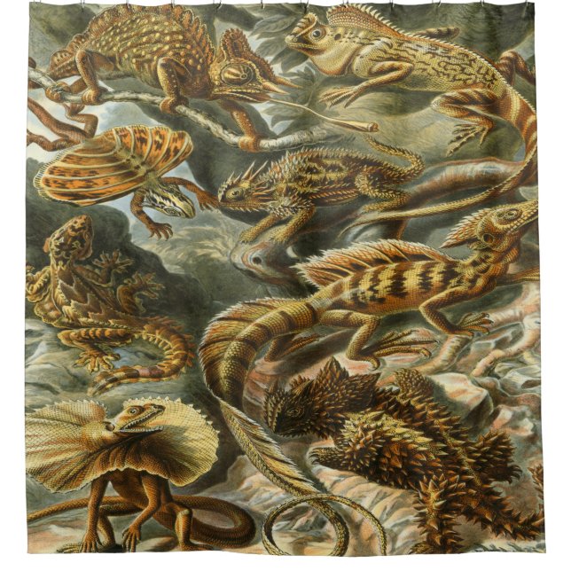 Ernst Haeckel Art Print: Lacertilia Duschvorhang (Vorderseite)