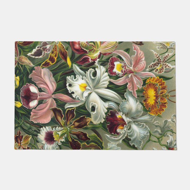 Ernst Haeckel Art Print, Orchidae Oncidiums, Tulpe Fußmatte (Vorderseite)