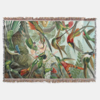 Ernst Haeckel Art Print: Trochilidae