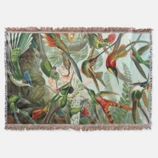 Ernst Haeckel Art Print: Trochilidae Decke
