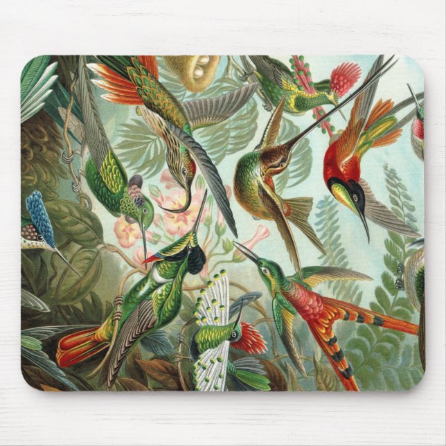 Ernst Haeckel Art Print: Trochilidae Mousepad (Vorne)
